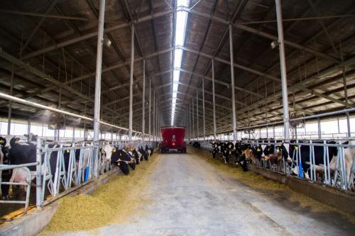 一滴牛奶背后的“超級力量”