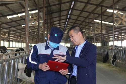 一滴牛奶背后的“超級力量”