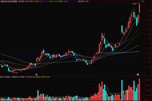 《八佰》開(kāi)映,《姜子牙》定檔,誰(shuí)將一戰(zhàn)“封神”?有個(gè)重要現(xiàn)象不能不看!