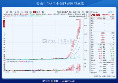 一條制裁帶崩了整個市場