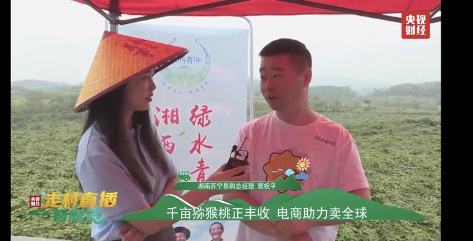 獼猴桃化身“金果果” 央視直播走進十八洞村