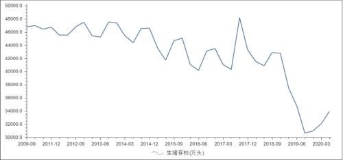 13歲的“豬堅強”：周期與輪回
