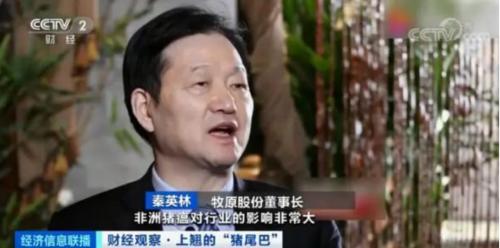 豬肉價格反彈，1頭豬利潤＝2瓶茅臺酒？