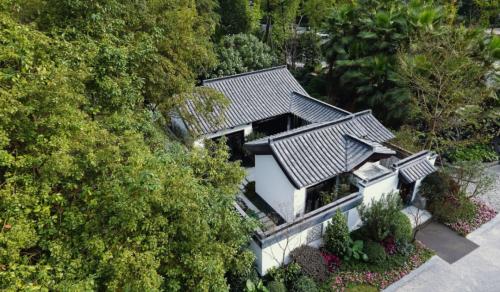 合景泰富25周年記： 特色城鎮的新探索 云上的美好生活