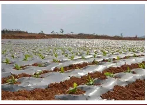 中金：順應(yīng)時(shí)代趨勢(shì)，掘金可降解塑料產(chǎn)業(yè)投資機(jī)會(huì)