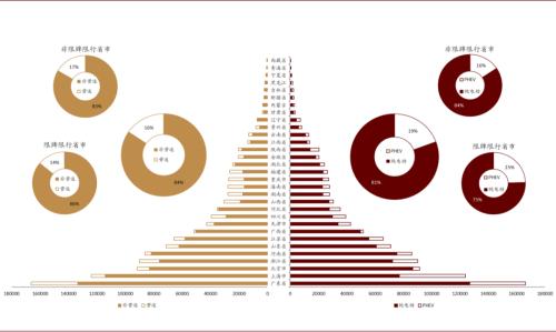 中金：新能源汽車2020先抑后揚；2021智能加速