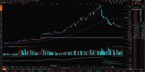 輔料價格已有所松動，光伏板塊可以關注什么？