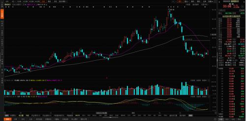 輔料價格已有所松動，光伏板塊可以關注什么？