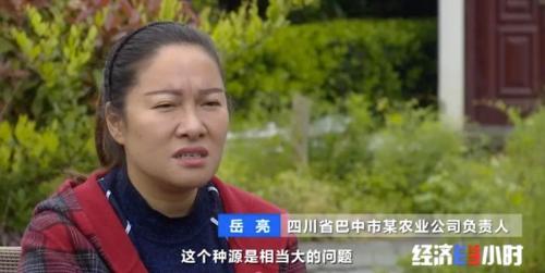 8個品種本土種豬滅絕！我們餐桌多為“外來豬”？！本土“二師兄”去哪了？