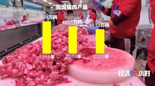 8個品種本土種豬滅絕！我們餐桌多為“外來豬”？！本土“二師兄”去哪了？